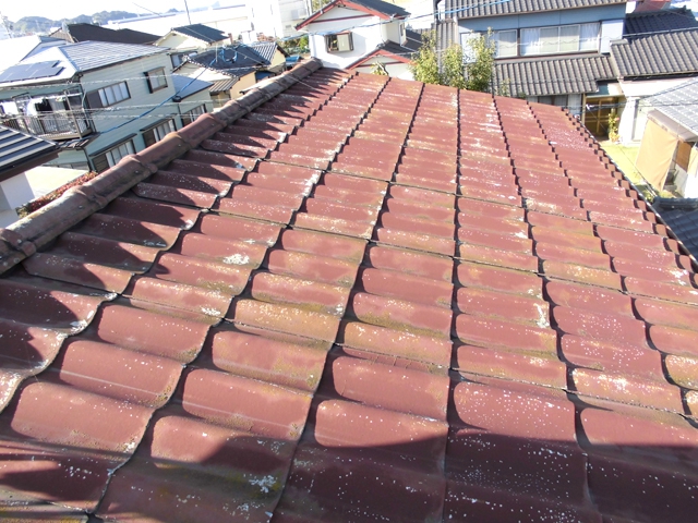 Before